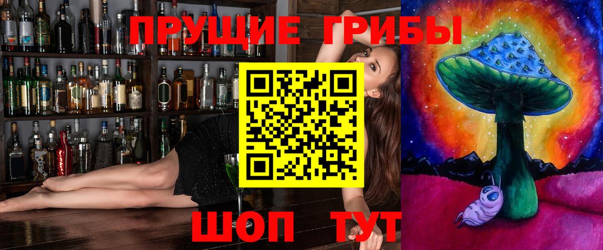 Псилоцибиновые грибы MAGIC MUSHROOMS  Вход с VPN  Камень-на-Оби 